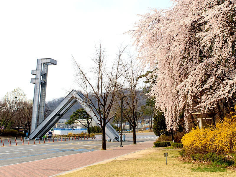 kobi education-seoul national university-gambar kampus gwanak