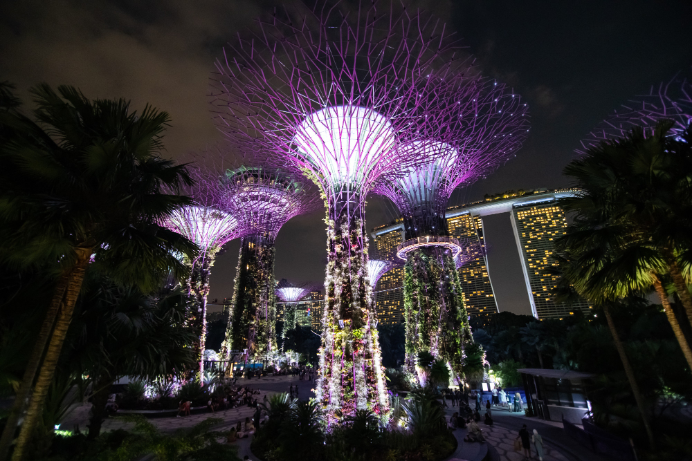 kobi education-universitas terbaik di singapura-gambar supertrees grove di malam hari