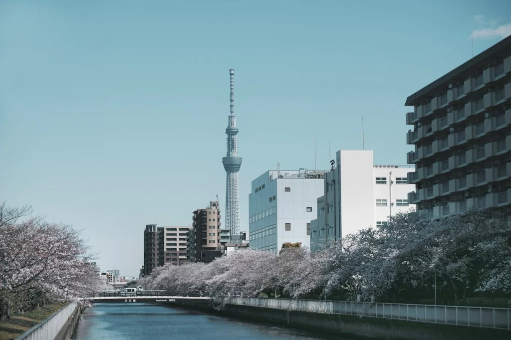 kobi education-kota terbaik di jepang-gambar tokyo medium