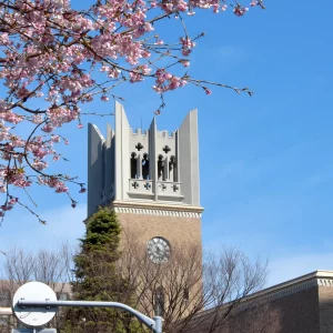 kobi education-beasiswa hashiya-gambar salah saltu universitas di jepang yang sedang di masa musim panas