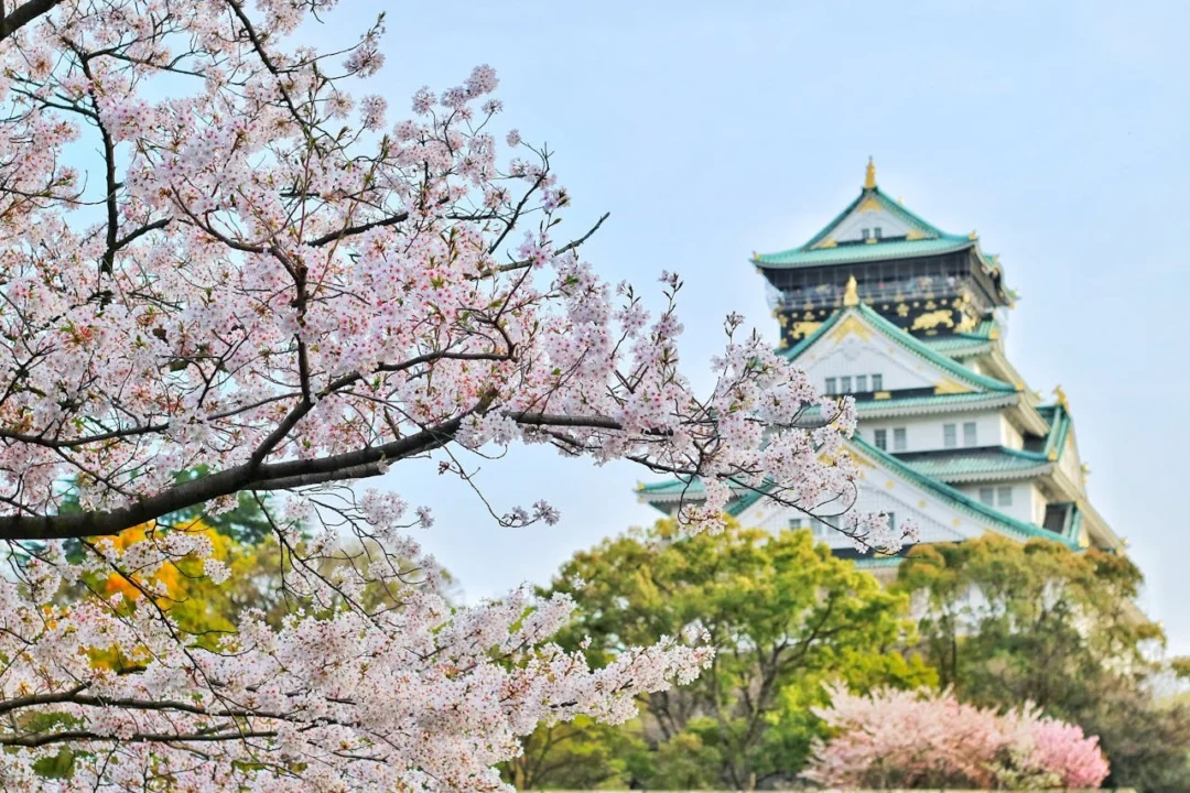 kobi education-contoh pertanyaan wawancara beasiswa mext-gambar salah satu bangunan dari jepang di tengah langit yang cukup biru